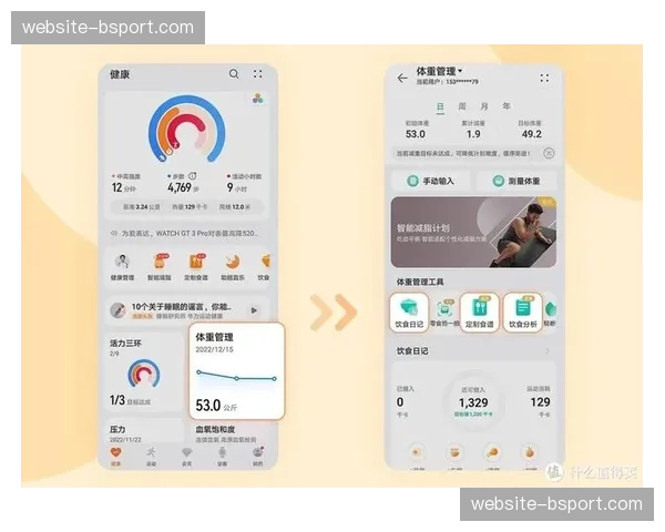 智能硬件数据开放接口 激励开发者丰富运动健康应用